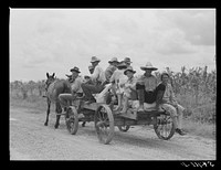Mulattoes returning from town with groceries and supplies near Melrose, Natchitoches Parish, Louisiana. Sourced from the Library of Congress.