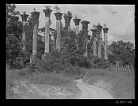 [Untitled photo, possibly related to: Port Gibson, Mississippi. Ruins of the old Windsor house, once a palatial estate, which was built in 1859 and destroyed by fire in 1890]. Sourced from the Library of Congress.