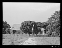 Melrose, Natchitoches Parish, Louisiana. Old plantation home in cotton region, La Cote Joyeuse Bermuda, belonging to Prudhomme family. Sourced from the Library of Congress.