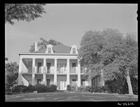 [Untitled photo, possibly related to: Natchez, Mississippi]. Sourced from the Library of Congress.