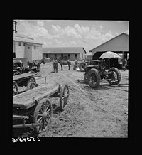 After the noon hour in the plantation yard, the mules, tractors and cultivators are taken out to finish the day's work. King and Anderson plantation, near Clarksdale. Mississippi Delta, Mississippi. Sourced from the Library of Congress.