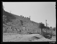 Cornshocks and fences on farm near Marion, Virginia. Sourced from the Library of Congress.
