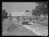 [Untitled photo, possibly related to: Family of FSA (Farm Security Administration) borrower bringing in wagon load of corn stalks for fodder. Caswell County, North Carolina]. Sourced from the Library of Congress.