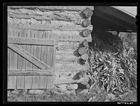[Untitled photo, possibly related to: Tobacco barn with corn stalks stored under its shed for winter fodder near Prospect Hill. Caswell County, North Carolina]. Sourced from the Library of Congress.