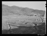 [Untitled photo, possibly related to: Many drainage ditches have been made and creeks cleaned out and land cleared on the creek bottom land of the farms of FSA (Farm Security Administration) borrowers. Southern Appalachian Project near Barbourville, Knox County, Kentucky]. Sourced from the Library of Congress.