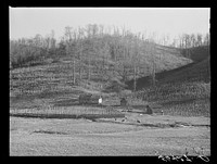 Josh Calahan's old home and barns with corn field on the hillsides. Southern Appalachian Project near Barbourville, Knox County, Kentucky. Sourced from the Library of Congress.