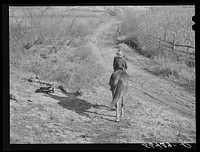 [Untitled photo, possibly related to: Two of Dutton ("Dut") Calleb's children watering the mule. Southern Appalachian Project near Barbourville, Knox County, Kentucky]. Sourced from the Library of Congress.