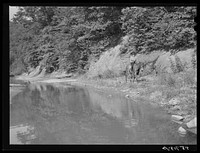 Mountaineer riding on muleback up a creek bed to his farm. Breathitt County, Kentucky. Sourced from the Library of Congress.