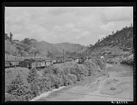 Carloads of coal in mining section near Hazard, Kentucky. Sourced from the Library of Congress.