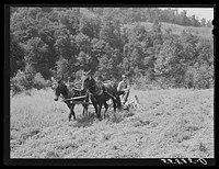 Mr. Back, FSA (Farm Security Administration) borrower, with his new mowing maching which he purchased through a community cooperative FSA. Noctor, Breathitt County, Kentucky. See general caption number two. Sourced from the Library of Congress.