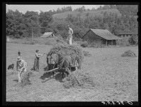 Loading hay on Edgar Back's farm. Noctor, Breathitt County, Kentucky. Mr. Back is a FSA (Farm Security Administration) borrower. See general caption number two. Sourced from the Library of Congress.