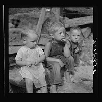 Mountain children on stone steps of their home. Up Stinking Creek, Pine Mountain, Kentucky. Sourced from the Library of Congress.