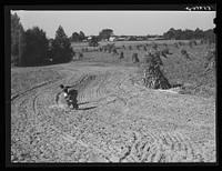 CCC (Civilian Conservation Corps) boys seeding and preparing a meadow strip for terrace outlet made on property of FSA (Farm Security Administration) borrower E.O. Foster. Caswell County, North Carolina. Sourced from the Library of Congress.