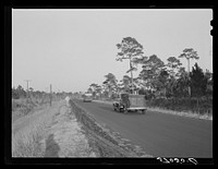 Highway leading from Pensacola, Florida. Sourced from the Library of Congress.