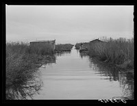 Spanish muskrat trapper's camp with home built piroques (canoes) on the bayou in the marshes near Delacroix Island, Louisiana. Sourced from the Library of Congress.