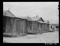 Poor housing for  workers in Pompano, Florida. Sourced from the Library of Congress.