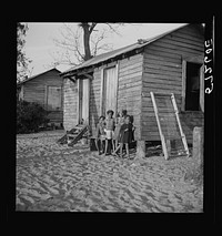 Bad housing for migratory laborers near Canal Point, Florida. Sourced from the Library of Congress.
