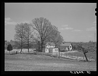 Farm near Vienna, Virginia. Sourced from the Library of Congress.