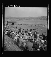 Spectators at the Point to Point Cup race of the Maryland Hunt Club. Worthington Valley near Glyndon, Maryland. Sourced from the Library of Congress.