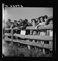 [Untitled photo, possibly related to: Spectators at paddock fence between races. Warrenton, Virginia]. Sourced from the Library of Congress.