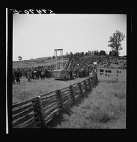 [Untitled photo, possibly related to: Judge at the horse races. Warrenton, Virginia]. Sourced from the Library of Congress.