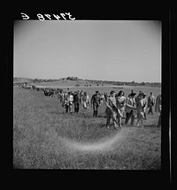 [Untitled photo, possibly related to: Spectators at the Point-to-Point Cup race of the Maryland Hunt Club. Worthington Valley, near Glyndon, Maryland]. Sourced from the Library of Congress.