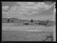Homes on FSA (Farm Security Administration) project. Ida Valley Farms, Shenandoah Homesteads, near Luray, Virginia. Sourced from the Library of Congress.