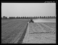 Harrowing field before planting. Starkey Farms, Morrisville, Pennsylvania. Sourced from the Library of Congress.