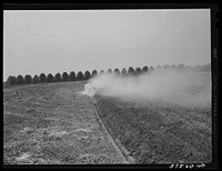 [Untitled photo, possibly related to: Harrowing field before planting. Starkey Farms, Morrisville, Pennsylvania]. Sourced from the Library of Congress.