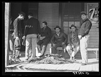 Grading muskrats while fur buyers and Spanish trappers look on during auction sale on porch of community store in Saint Bernard, Louisiana. Sourced from the Library of Congress.