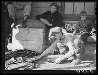 [Untitled photo, possibly related to: Grading muskrats while fur buyers and Spanish trappers look on during auction sale on porch of community store in Saint Bernard, Louisiana]. Sourced from the Library of Congress.