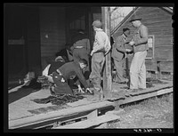 [Untitled photo, possibly related to: Spanish trappers and fur buyers crowd around FSA (Farm Security Administration) supervisor as he opens and reads the bids on that lot of muskrats. The auction sale is on porch of community store. Saint Bernard, Louisiana]. Sourced from the Library of Congress.