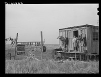 Muskrat skins hanging up to dry by Spanish trapper's home in the marshes.  He then takes the furs to the island to sell. Delacroix Island, Saint Bernard Parish, Louisiana. Sourced from the Library of Congress.