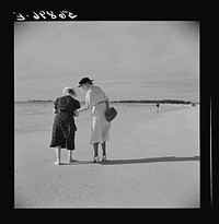 [Untitled photo, possibly related to: Guests of Sarasota trailer park, Sarasota, Florida, at the beach]. Sourced from the Library of Congress.
