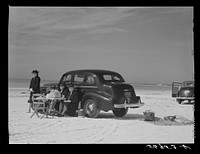Guests of Sarasota trailer park, Sarasota, Florida, picnicking at the beach. Sourced from the Library of Congress.