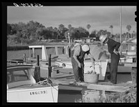 [Untitled photo, possibly related to: Guests of Sarasota trailer park, Sarasota, Florida, with fish they had just caught]. Sourced from the Library of Congress.