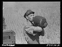 Scandinavian tractor combine driver drinking water out of a jug in the field where they were harvesting wheat on the Schnitzler Corporation ranch. Froid, Montana. This boy came to the Schnitzler ranch from South Dakota where he lives and first harvested their earlier wheat crop before coming up here for the Montana harvest season. Sourced from the Library of Congress.
