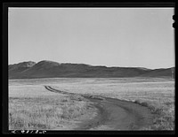 Tracks across prairie to pasture and grazing land near Havre, Montana. Sourced from the Library of Congress.