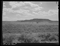 Sagebrush and ranch buildings with butte in the background. Near Havre, Montana. Sourced from the Library of Congress.