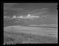 Contour ploughing and strip cropping of wheat fields just north of Great Falls, Montana. Sourced from the Library of Congress.