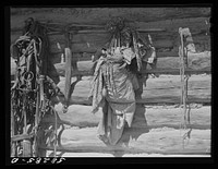 Harnesses for their horses and "medicine" hanging on front of Cheyenne Indians' log hut. Near Lame Deer, Montana. Sourced from the Library of Congress.