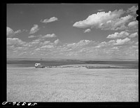 Sheepherder's wagon, flock and pen on summer grazing land northwest of Great Falls, Montana. Sourced from the Library of Congress.