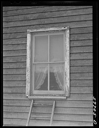 Window frame with screen supplied. The top strip has been nailed in place. The screen is then stretched and fastened at the sill. Screening demonstration. Charles County, La Plata, Maryland. Sourced from the Library of Congress.