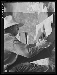 Cutting metal reinforcing for corners. Screen door construction demonstration. Charles County, La Plata, Maryland. Sourced from the Library of Congress.