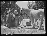 Home supervisor while making home visit to FSA (Farm Security Administration) borrower inspects water supply for repair. Charles County near La Plata, Maryland. Sourced from the Library of Congress.