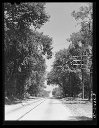 [Untitled photo, possibly related to: Highway just south of Madison, Wisconsin]. Sourced from the Library of Congress.