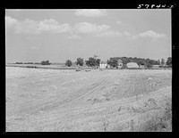 [Untitled photo, possibly related to: Wagons hauling wheat which has been harvested with a binder to the barnyard for threshing on a farm near Madison, Wisconsin]. Sourced from the Library of Congress.