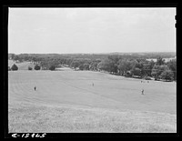 Playing golf on Madison, Wisconsin links. Sourced from the Library of Congress.