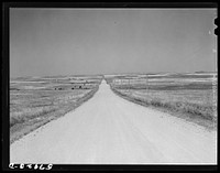 Road across plains near Williston, North Dakota. Sourced from the Library of Congress.