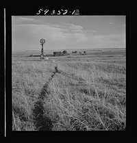 [Untitled photo, possibly related to: Cattle paths to water hole by windmill on grazing land near Scottsbluff, Nebraska. North Platte River Valley]. Sourced from the Library of Congress.